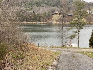 Developers dream, lake access frontage, timber, income producing - photo 10