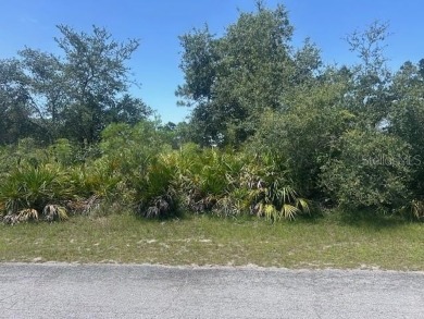 Lake Lot For Sale in Indian Lake Estates, Florida