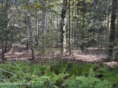 Lake Sinca Lot For Sale in Blakeslee Pennsylvania