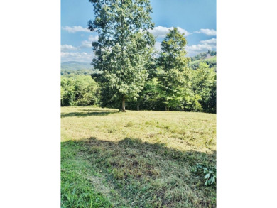Lake Lot For Sale in Hilham, Tennessee