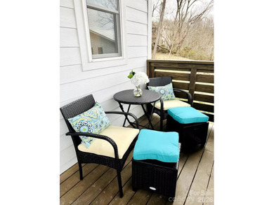 If Asheville had a front porch, this would be it. Welcome to a - photo 18