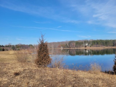 Lake Acreage For Sale in Oakley, Michigan