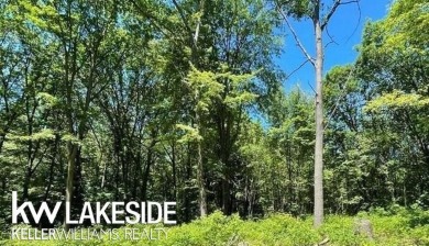 Saddle Lake Lot For Sale in Grand Junction Michigan