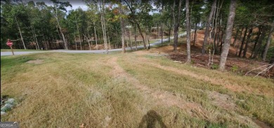 Lake Lot For Sale in Ellijay, Georgia