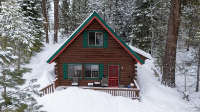 Lake Home For Sale in Mccall, Idaho