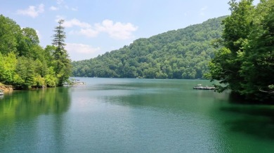 Lake Acreage For Sale in Topton, North Carolina