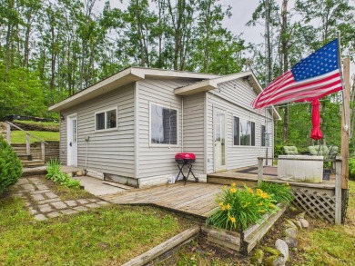 Lake Home For Sale in Elmira, Michigan