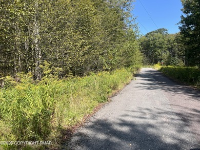 Lake Carobeth Acreage For Sale in Tobyhanna Pennsylvania