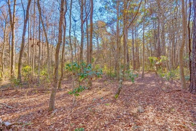 Discover the perfect opportunity to create your own Lowcountry - photo 13