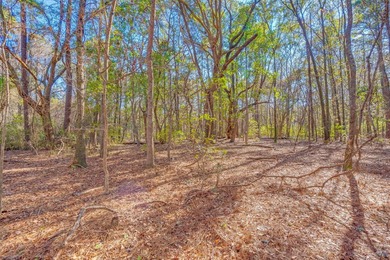 Discover the perfect opportunity to create your own Lowcountry - photo 15