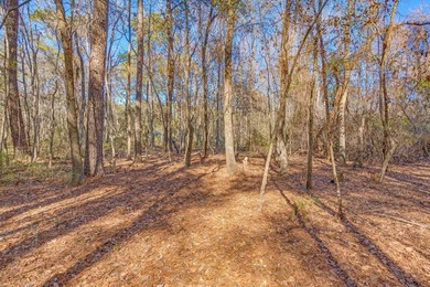 Discover the perfect opportunity to create your own Lowcountry - photo 16