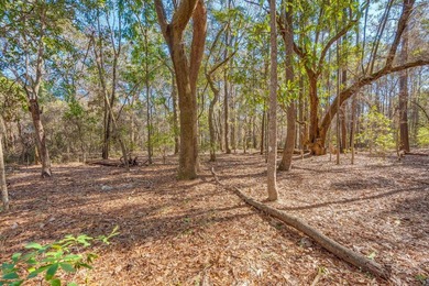 Discover the perfect opportunity to create your own Lowcountry - photo 17