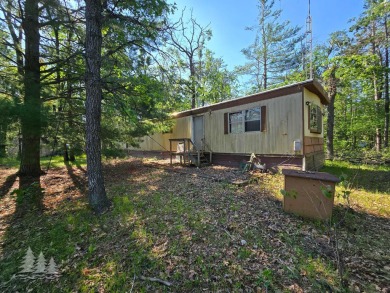 Lake Home For Sale in Lewiston, Michigan