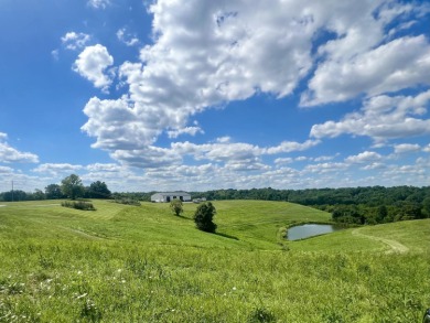 Lake Acreage For Sale in Williamstown, Kentucky