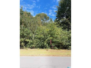 Lake Lot Off Market in Shelby, Alabama