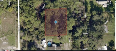 Lake Lot For Sale in Paisley, Florida