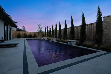 This luxurious modern residence blends clean architectural lines - photo 14