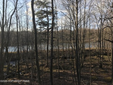 Lake Lot For Sale in Albrightsville, Pennsylvania