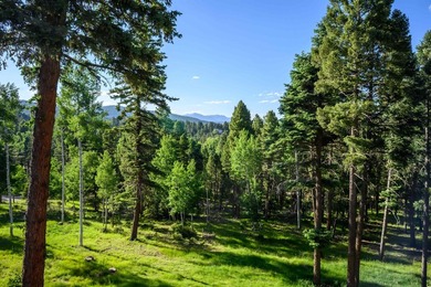 Magic in the Angel Fire Forest ~ This extraordinary Angel Fire - photo 40