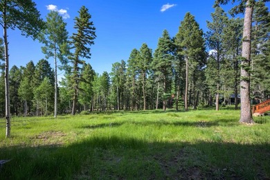 Magic in the Angel Fire Forest ~ This extraordinary Angel Fire - photo 41