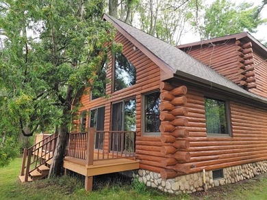 Lake Huron - Alpena County Home For Sale in Ossineke Michigan