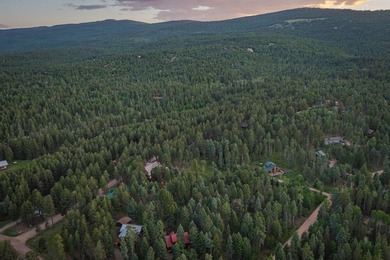 Magic in the Angel Fire Forest ~ This extraordinary Angel Fire - photo 45