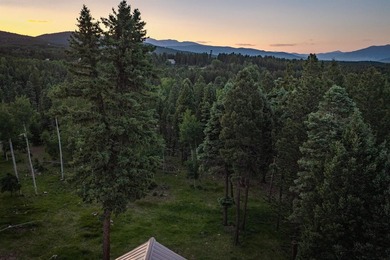 Magic in the Angel Fire Forest ~ This extraordinary Angel Fire - photo 48