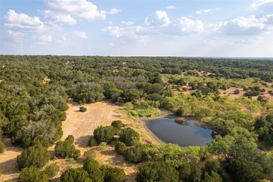 (private lake, pond, creek) Acreage For Sale in Mullin Texas