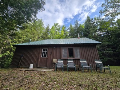 Lake Home For Sale in Mio, Michigan