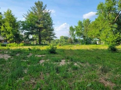 Lake Lot For Sale in Beaverton, Michigan