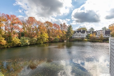 Lake Condo For Sale in Wilton, Connecticut