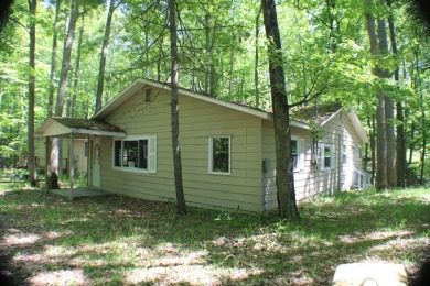 Lake Home For Sale in Curran, Michigan