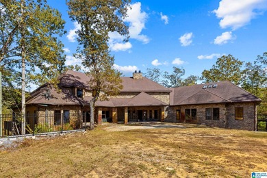 (private lake, pond, creek) Home For Sale in Helena Alabama