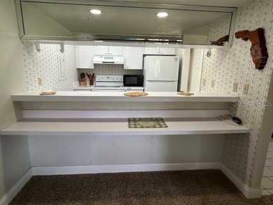 Fully furnished condo with In-Law Suite - This is a 2 bedroom 2 - photo 3