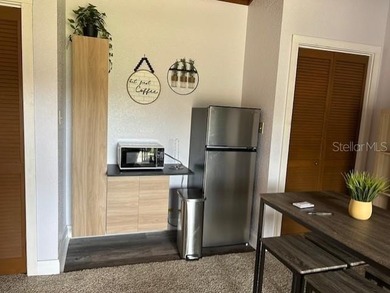 Fully furnished condo with In-Law Suite - This is a 2 bedroom 2 - photo 10