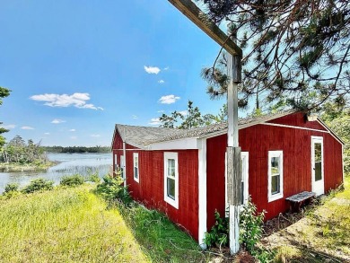 Lake Home For Sale in Lewiston, Michigan