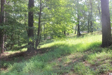 This 1.27 acre waterfront lot in Sassy Land Subdivision is a - photo 3