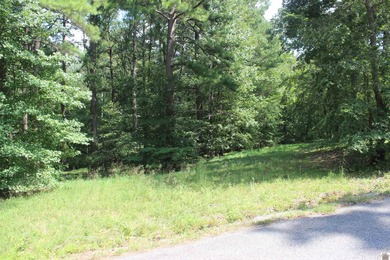 This 1.27 acre waterfront lot in Sassy Land Subdivision is a - photo 5