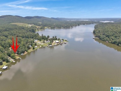 Lake Home For Sale in Ashville, Alabama