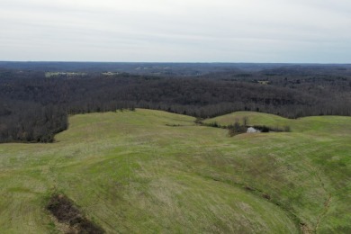 Privacy and seclusion - Lake Acreage For Sale in Brownsville, Kentucky