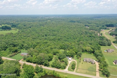 (private lake, pond, coastal) Acreage For Sale in Olive Branch Mississippi