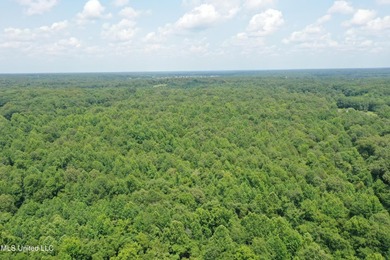 165+- acres fronting on Bethel Road located approximately 1 mile - photo 5