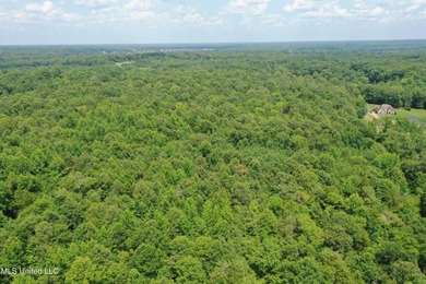 165+- acres fronting on Bethel Road located approximately 1 mile - photo 6