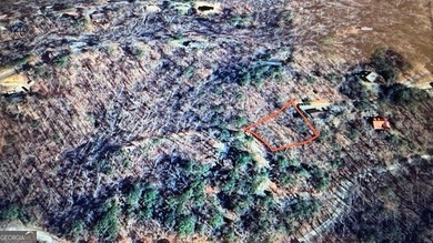 Coosawattee River - Gilmer County Lot For Sale in Ellijay Georgia
