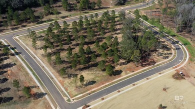 A premier upscale development in Fairhope highly insulated from - photo 11