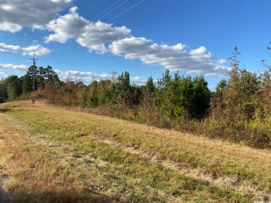 Lake Greeson Acreage For Sale in Kirby Arkansas