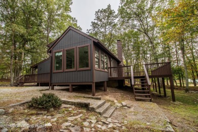 Lake Home For Sale in Bushkill, Pennsylvania