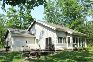 (private lake, pond, creek) Home Active Under Con in Elmira Michigan