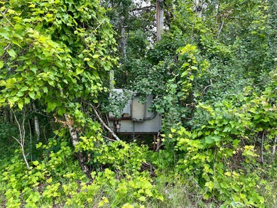 Prime development opportunity in the heart of Tomahawk! This - photo 12