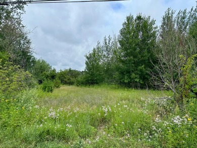Prime development opportunity in the heart of Tomahawk! This - photo 13